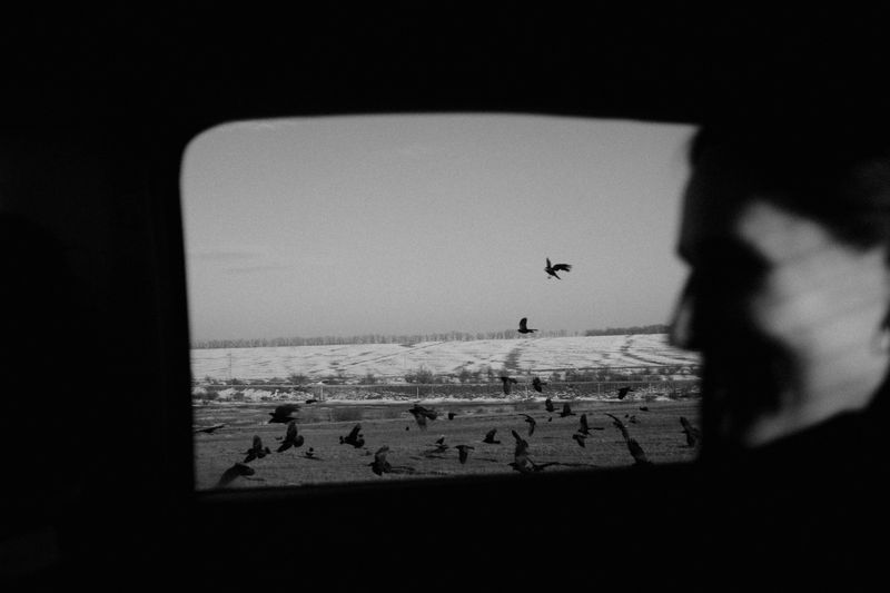 © Dara Petrova - Premonition. Ukraine 2023