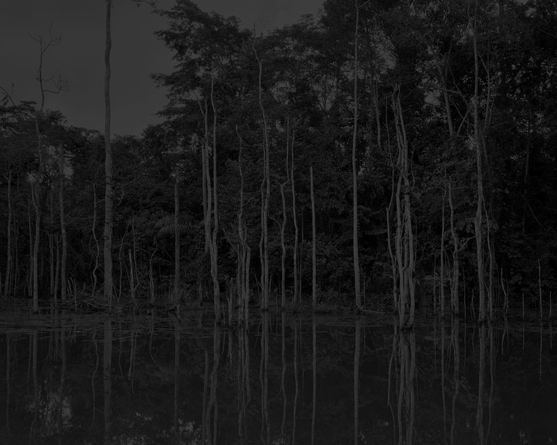 © Elliott Verdier - Image from the Reaching for Dawn photography project