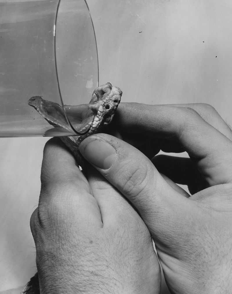 © Edgar Martins - Image from the What Photography & Incarceration have in Common with an Empty Vase photography project