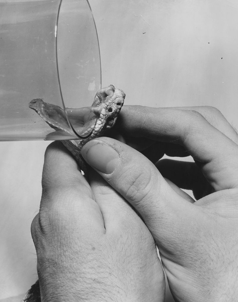 © Edgar Martins - Image from the What Photography & Incarceration have in Common with an Empty Vase photography project