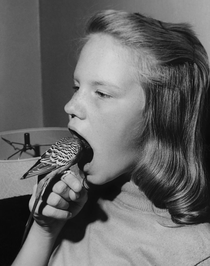 © Edgar Martins - Image from the What Photography & Incarceration have in Common with an Empty Vase photography project