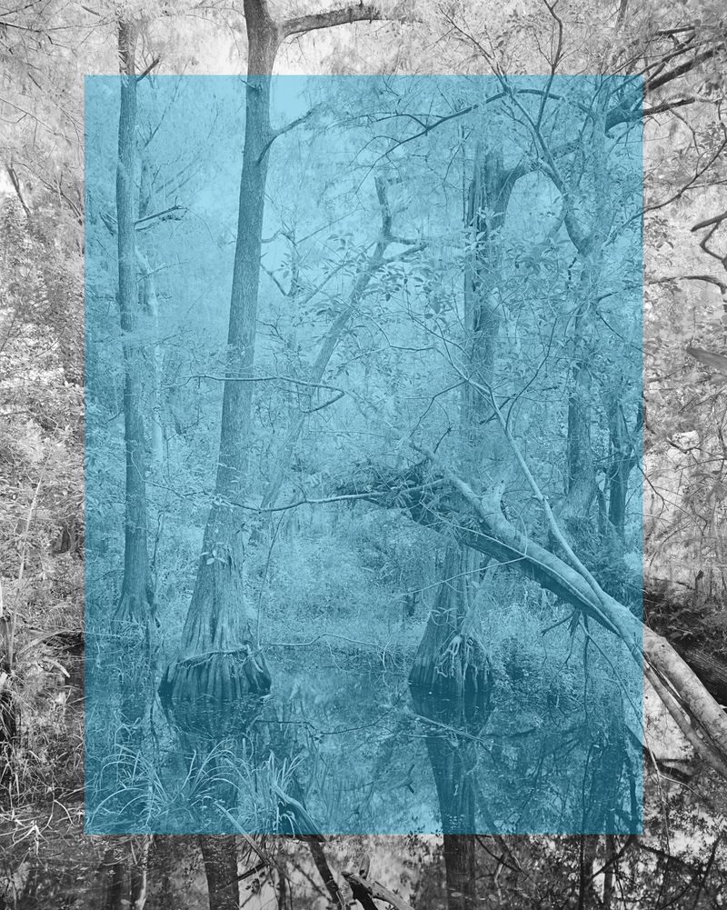 © Edgar Martins - Image from the What Photography & Incarceration have in Common with an Empty Vase photography project