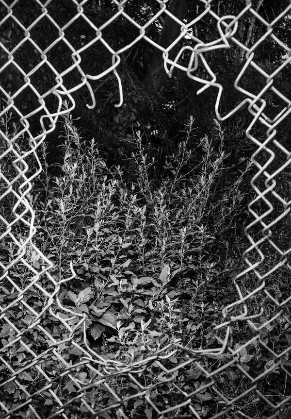 © Evan Perkins