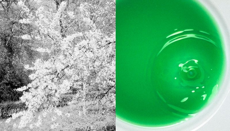 © Hélène Petite and Yuna Mathieu-Chovet