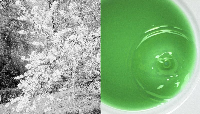 © Hélène Petite and Yuna Mathieu-Chovet