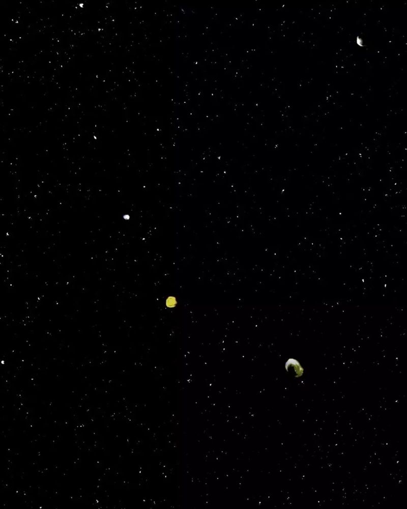 © Matan Mittwoch, Discovery Award Louis Roederer Foundation