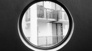 The Pandemic Collection