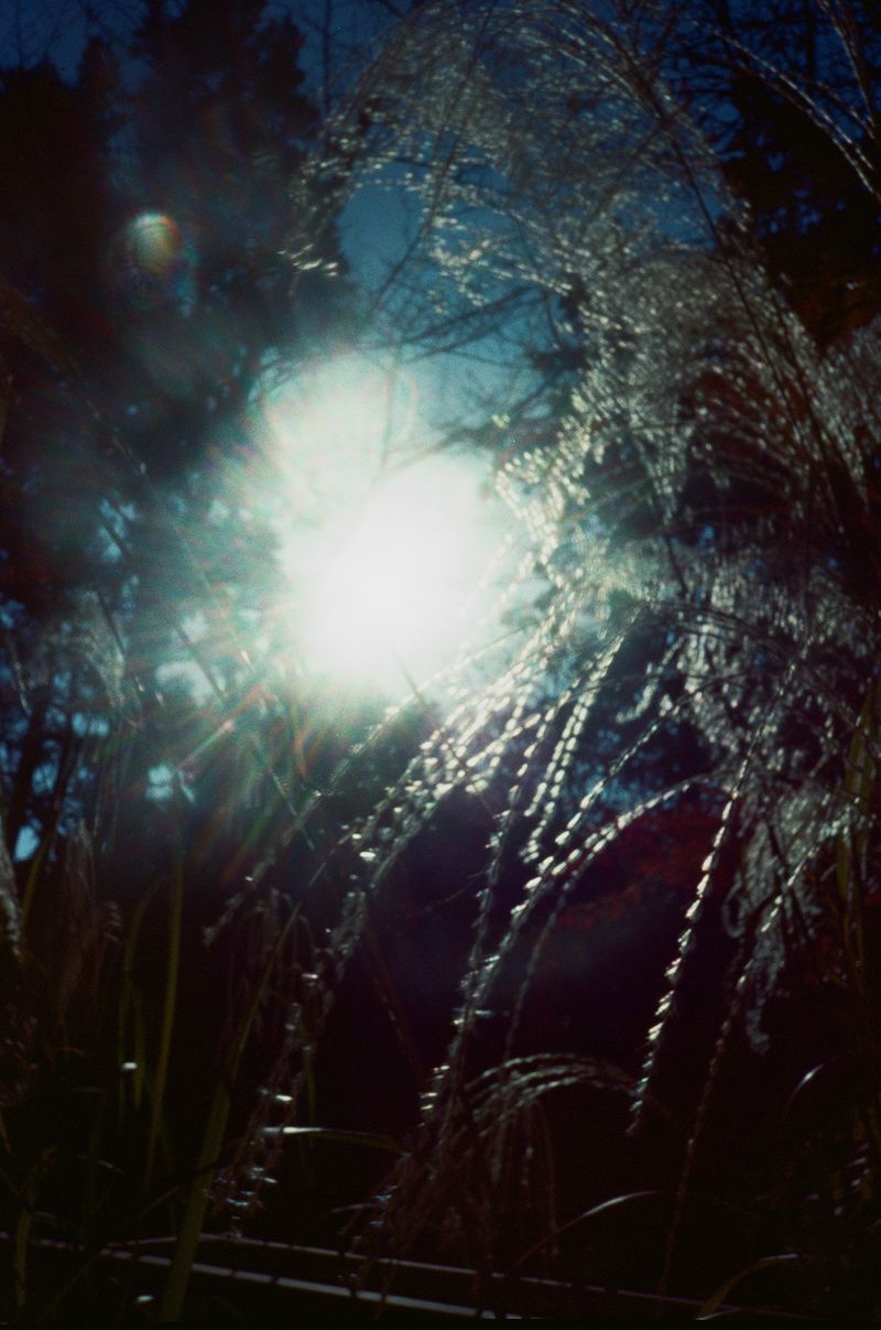 © Dea Ardyanda - Image from the Can You Tickle The Sun's Rays? photography project