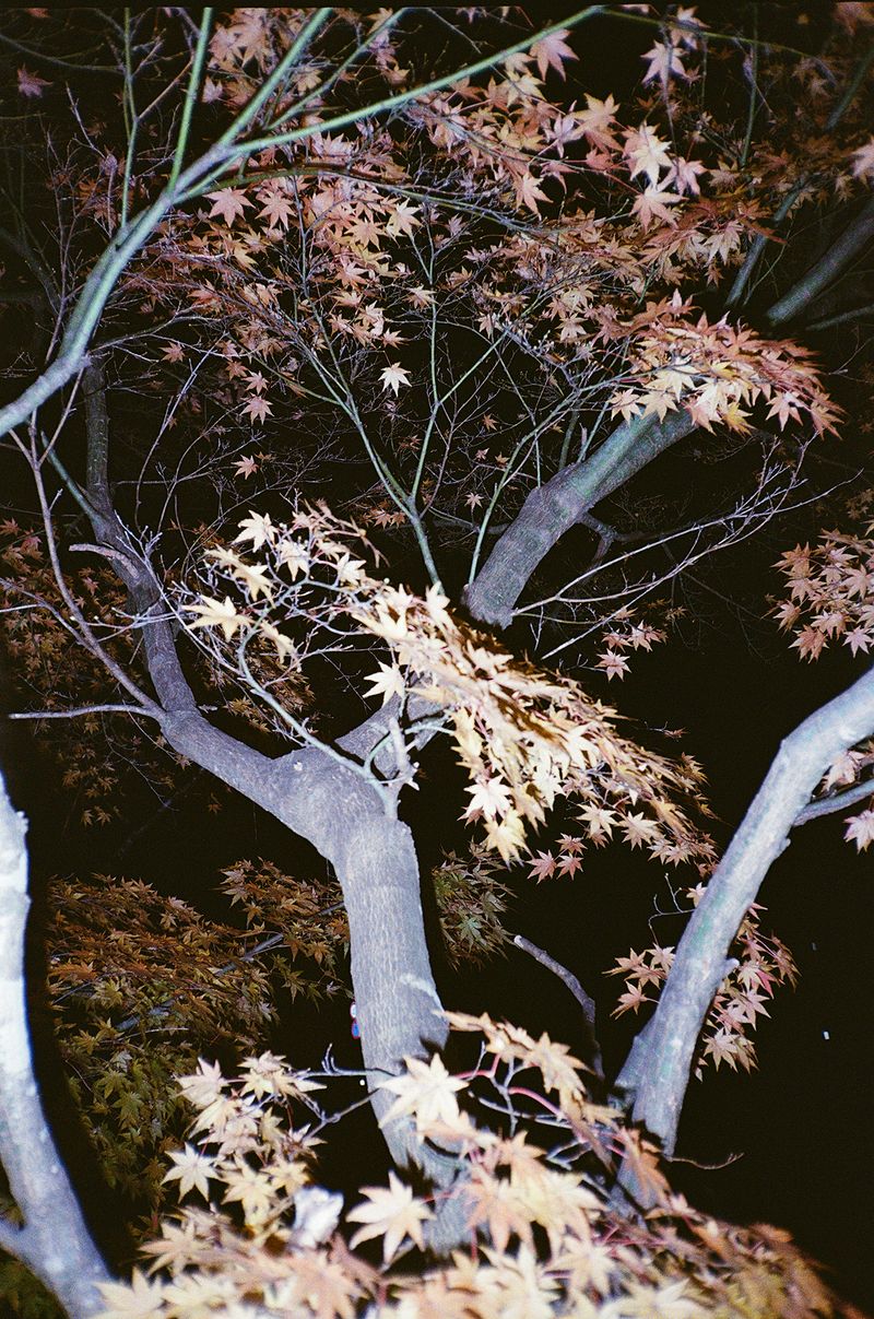 © Dea Ardyanda - Image from the Can You Tickle The Sun's Rays? photography project