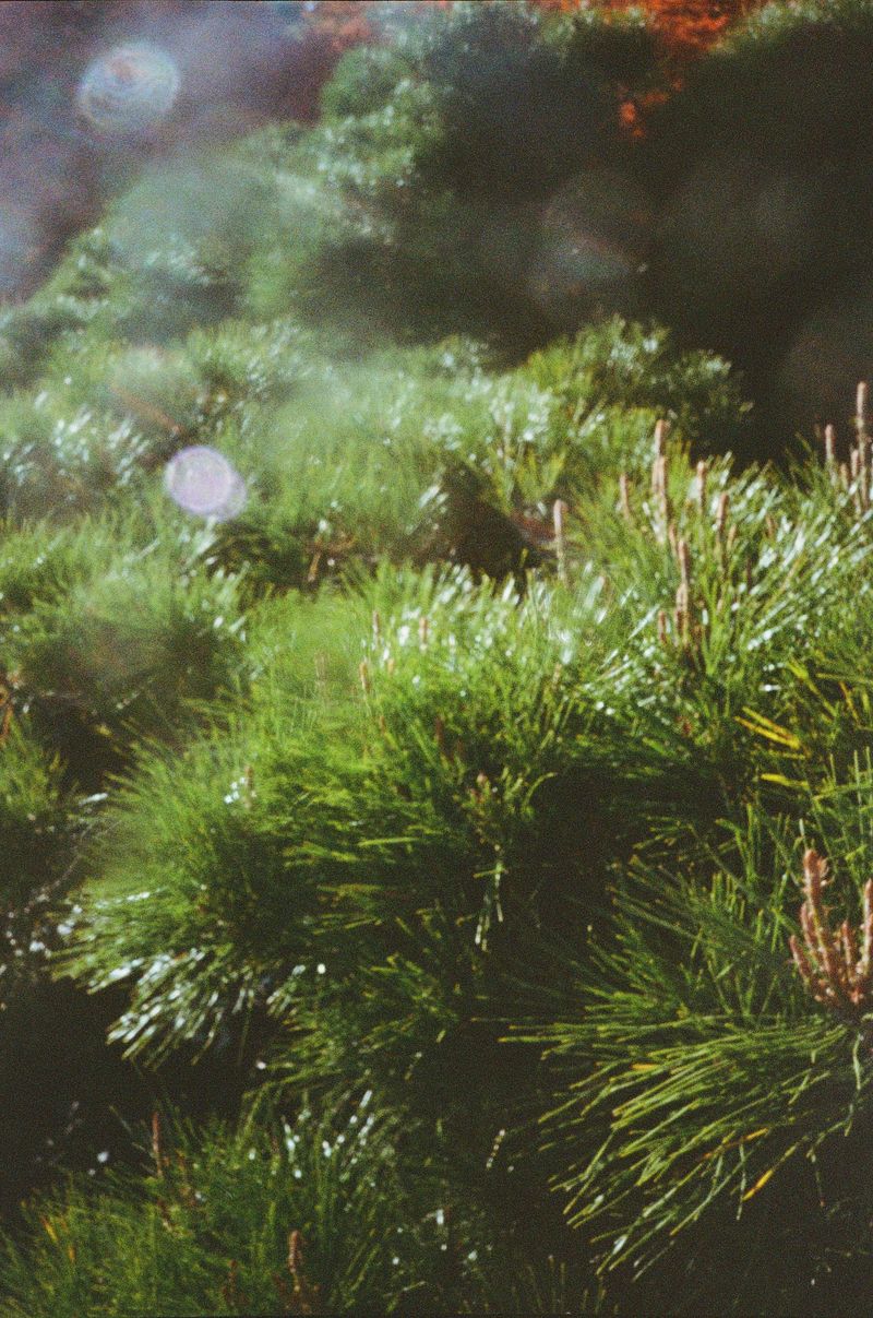 © Dea Ardyanda - Image from the Can You Tickle The Sun's Rays? photography project