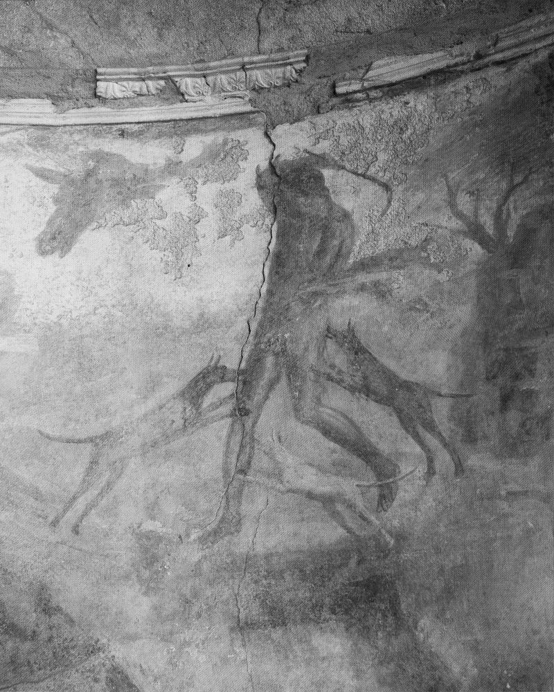Image from a project on PhMuseum