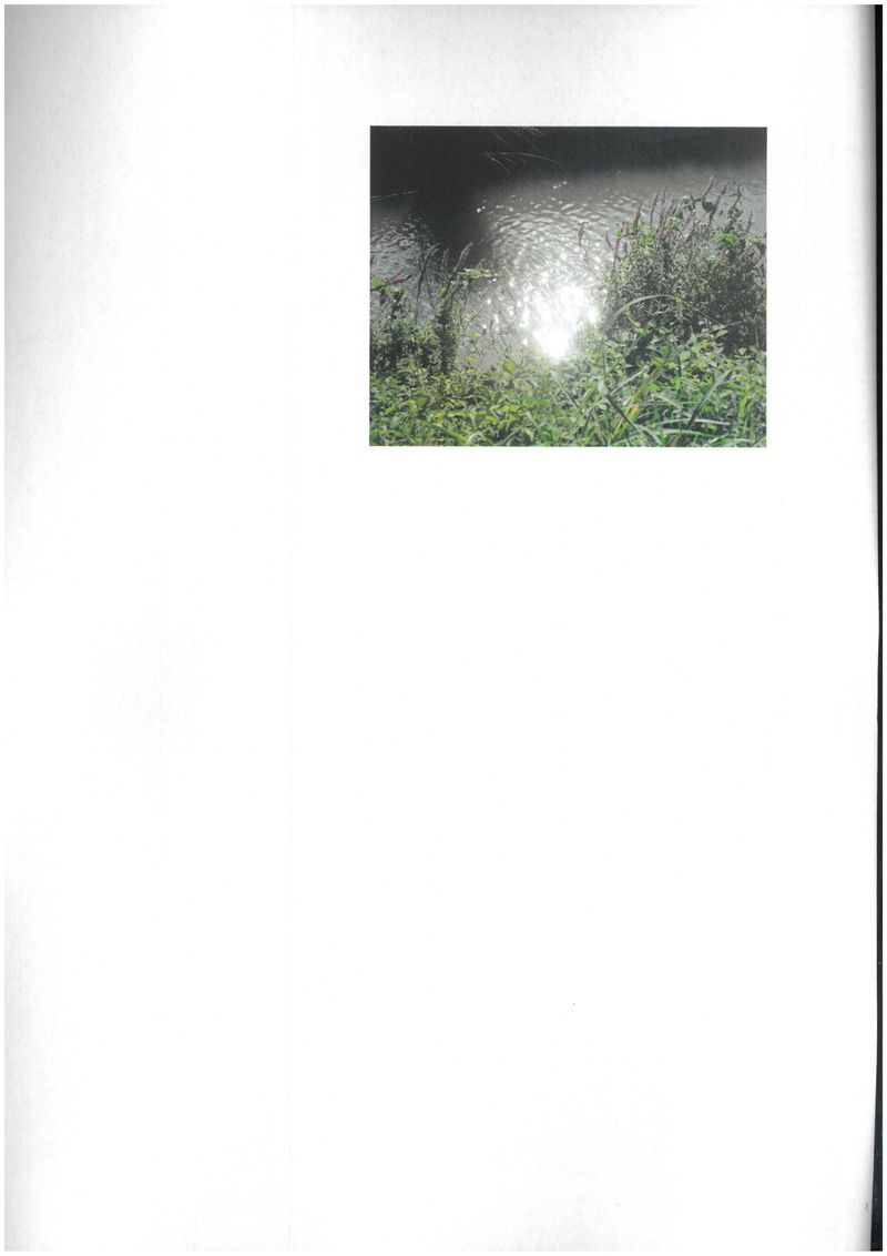 © rottomalpelo - Image from the Qualcosa di nuovo sotto il sole photography project