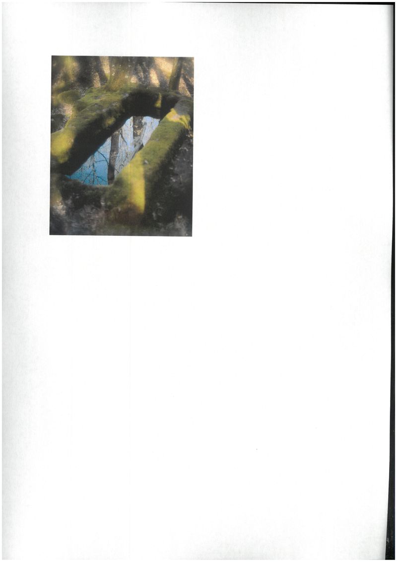 © rottomalpelo - Image from the Qualcosa di nuovo sotto il sole photography project