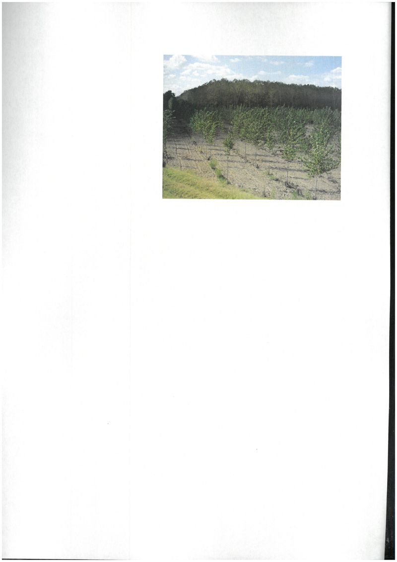 © rottomalpelo - Image from the Qualcosa di nuovo sotto il sole photography project