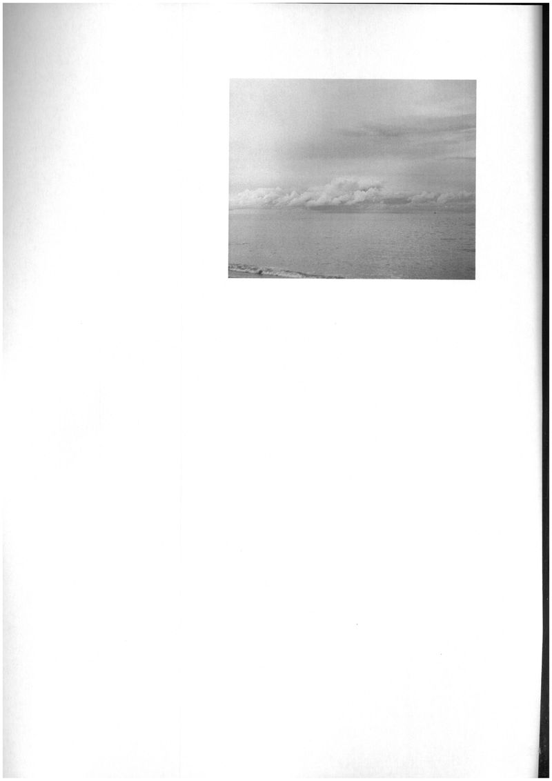 © rottomalpelo - Image from the Qualcosa di nuovo sotto il sole photography project