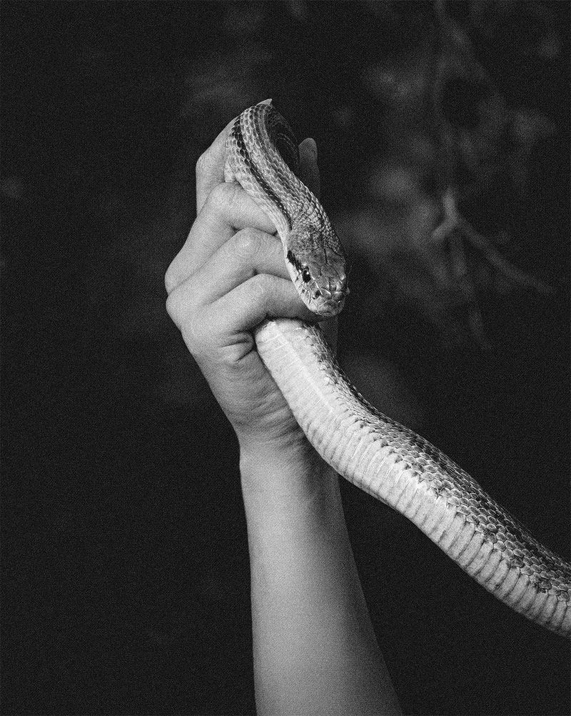 © rottomalpelo - Image from the INFERNO photography project