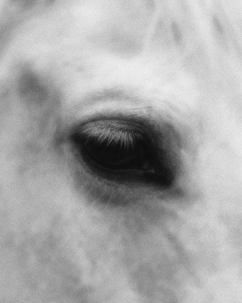 © rottomalpelo - Image from the INFERNO photography project