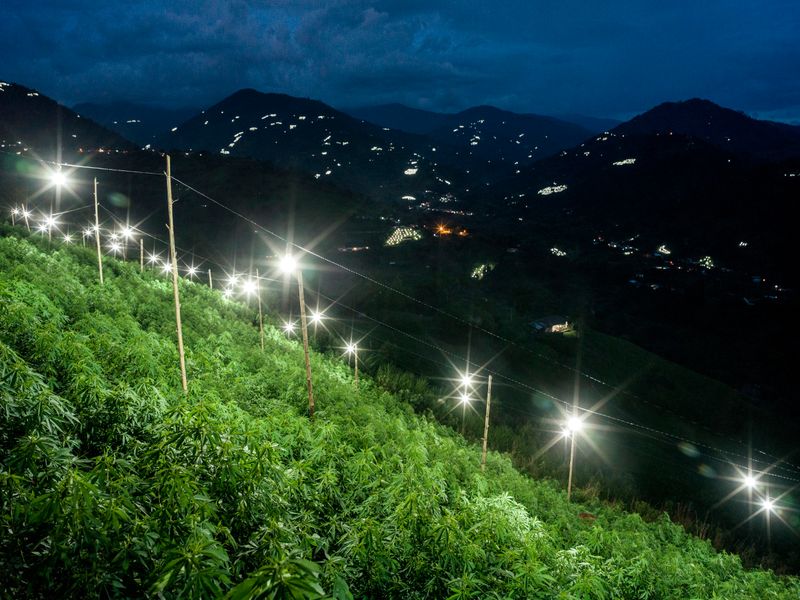 © Mads Nissen - Image from the Sangre Blanca - The Lost War on Cocaine photography project