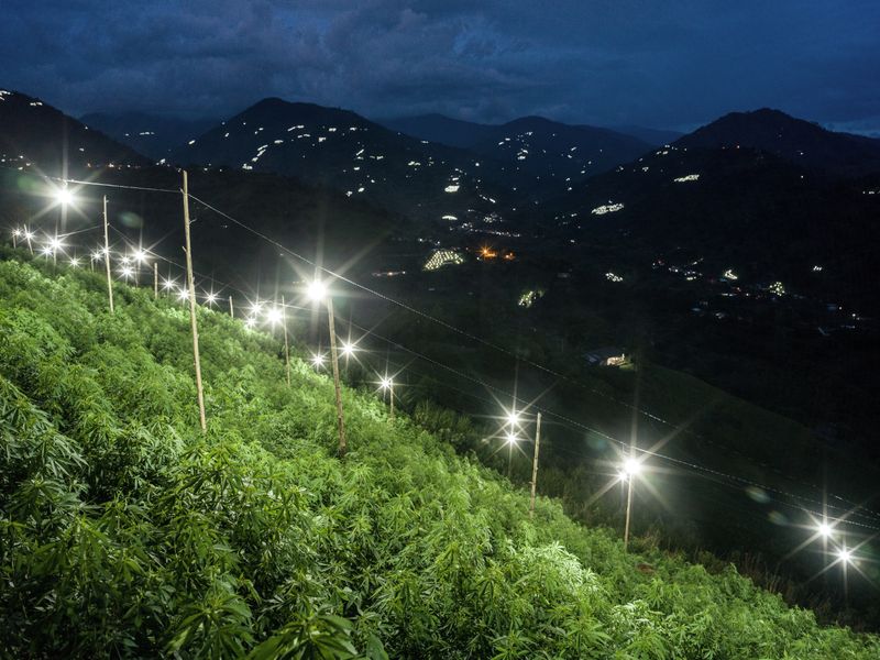 © Mads Nissen - Image from the Sangre Blanca - The Lost War on Cocaine photography project