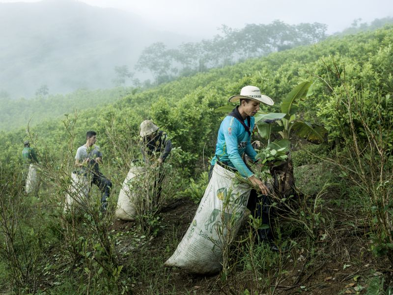 © Mads Nissen - Image from the Sangre Blanca - The Lost War on Cocaine photography project