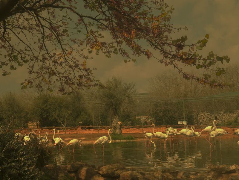 © Eirini Lachana - Image from the Yūgen photography project