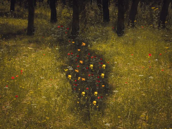 © Eirini Lachana - Image from the Yūgen photography project