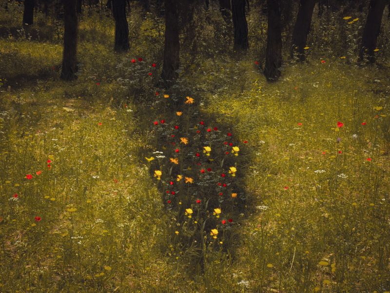 © Eirini Lachana - Image from the Yūgen photography project