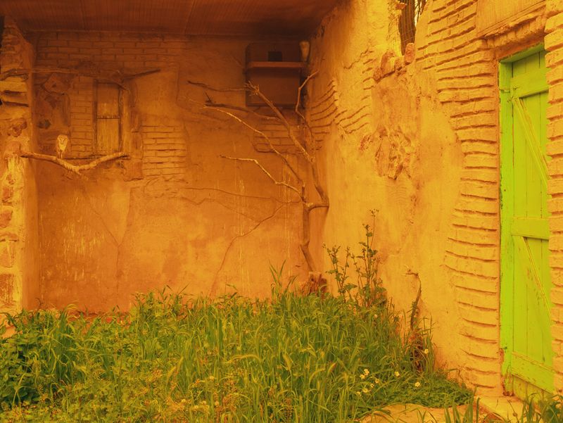 © Eirini Lachana - Image from the Yūgen photography project