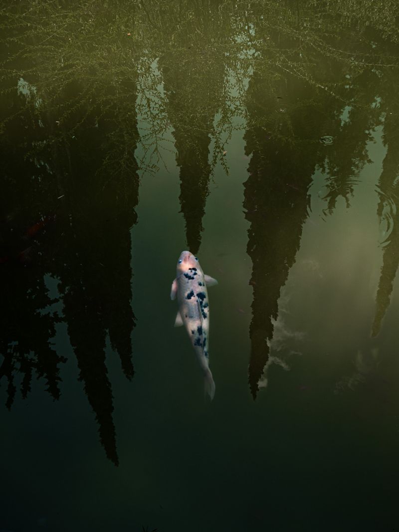 © Eirini Lachana - Image from the Yūgen photography project