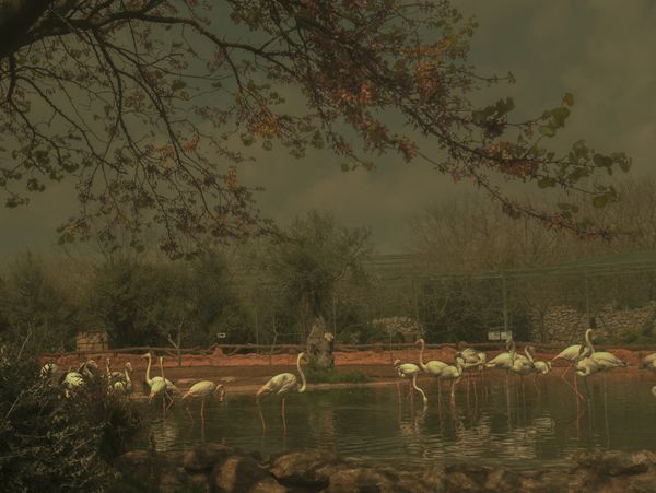 © Eirini Lachana - Image from the Yugen photography project