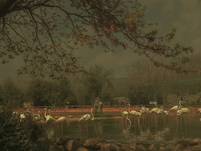 © Eirini Lachana - Image from the Yugen photography project