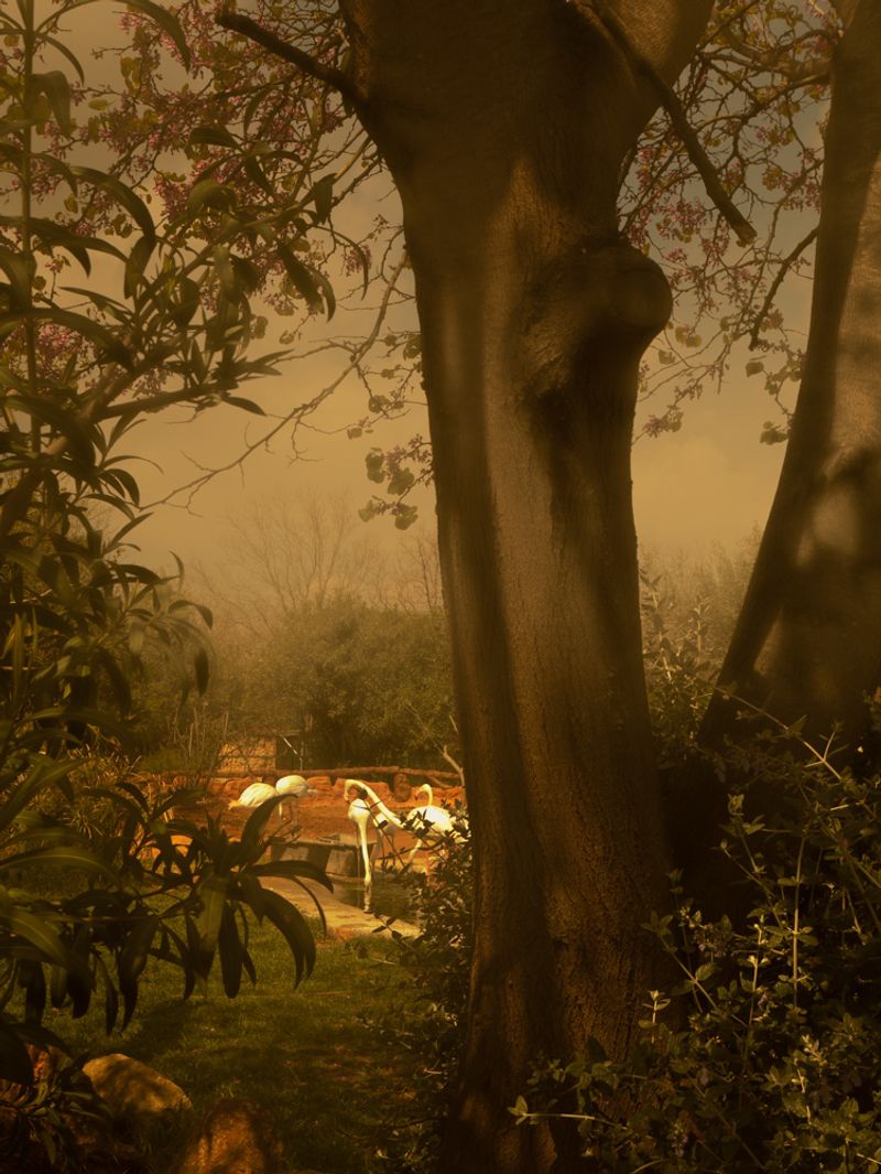 © Eirini Lachana - Image from the Yugen photography project