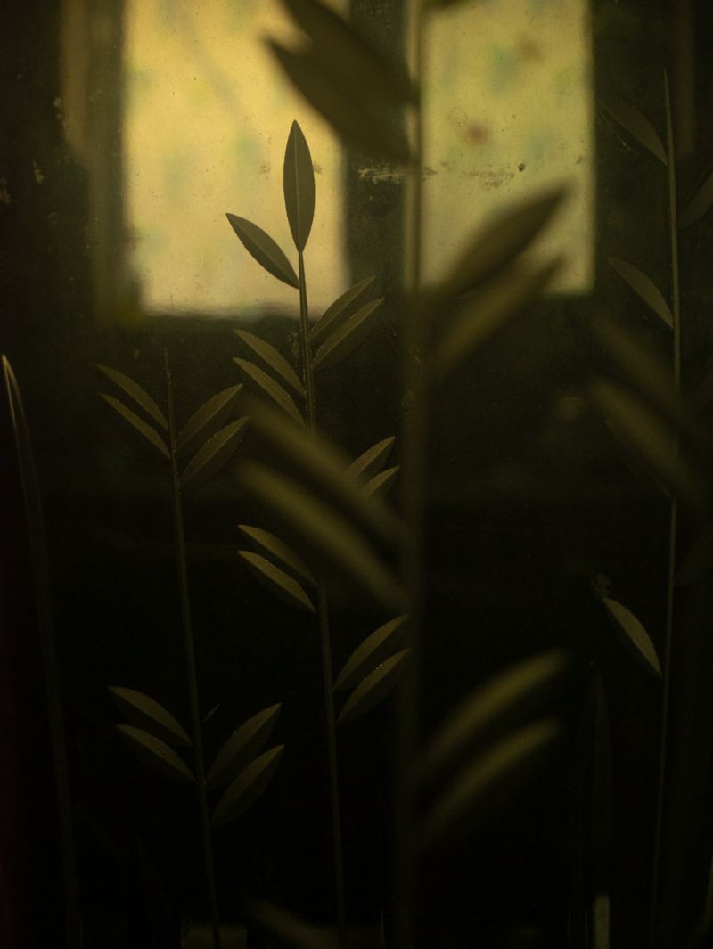 © Eirini Lachana - Image from the Yugen photography project