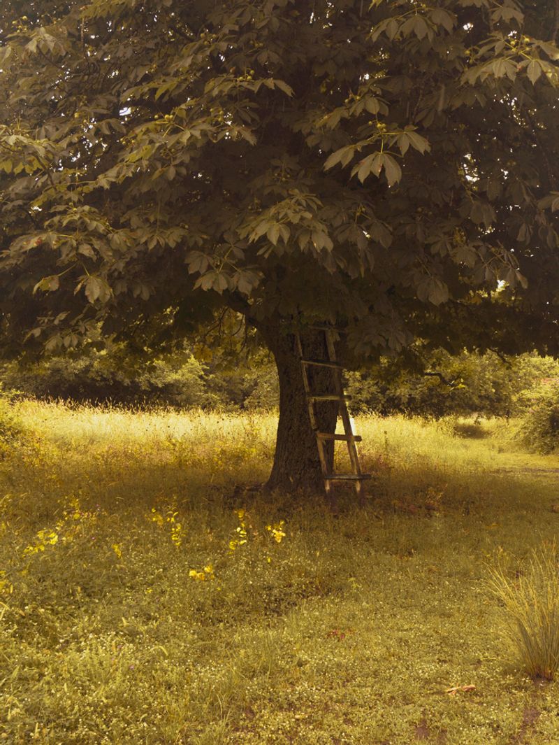 © Eirini Lachana - Image from the Yugen photography project