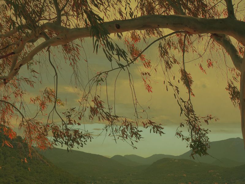 © Eirini Lachana - Image from the Yugen photography project