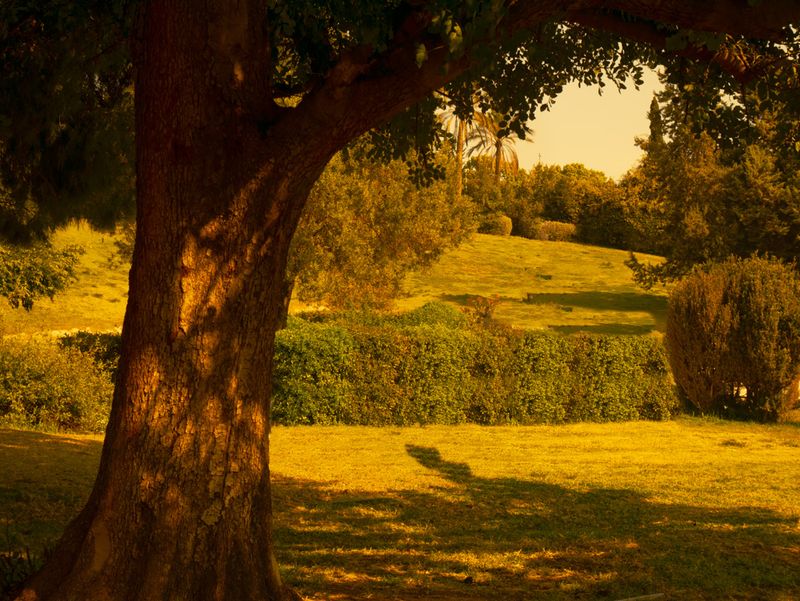 © Eirini Lachana - Image from the Yugen photography project