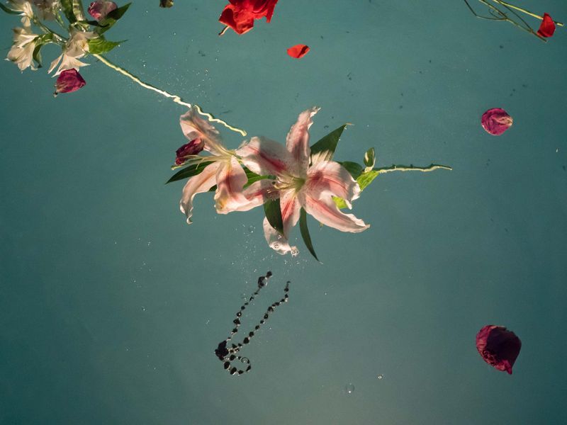 © Rose Cunningham - Float II