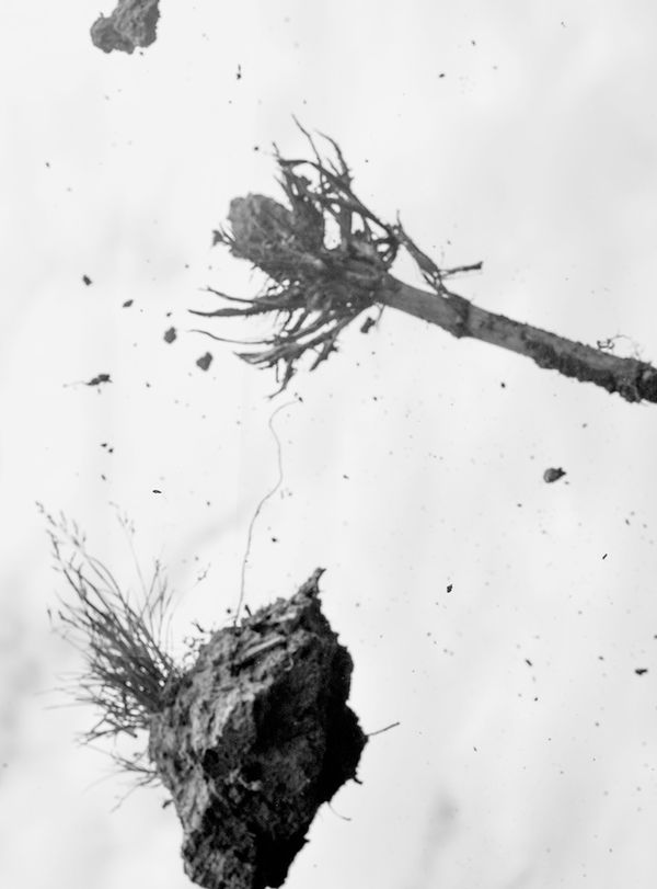 © Ault Studio - field study 3