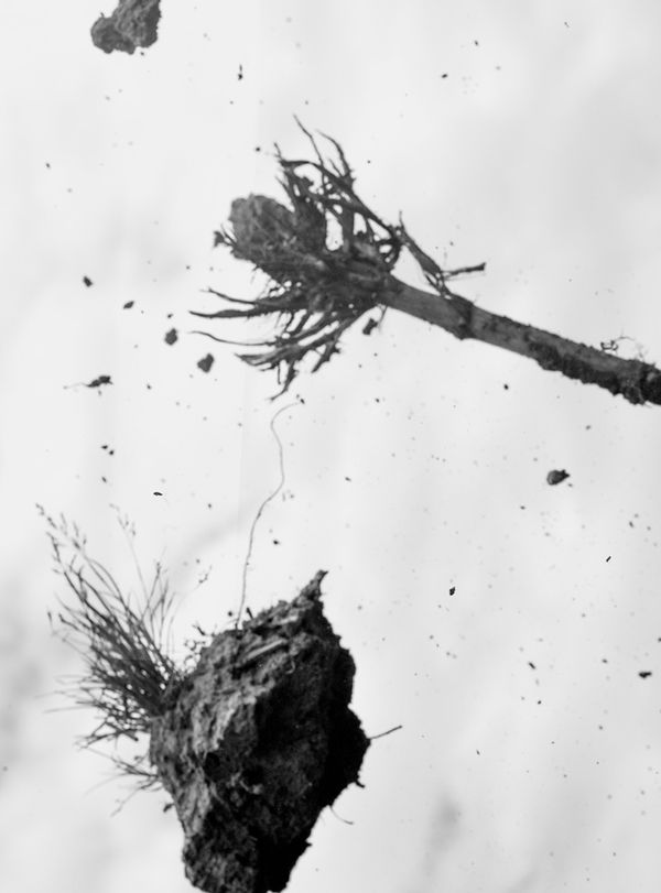 © Ault Studio - field study 3