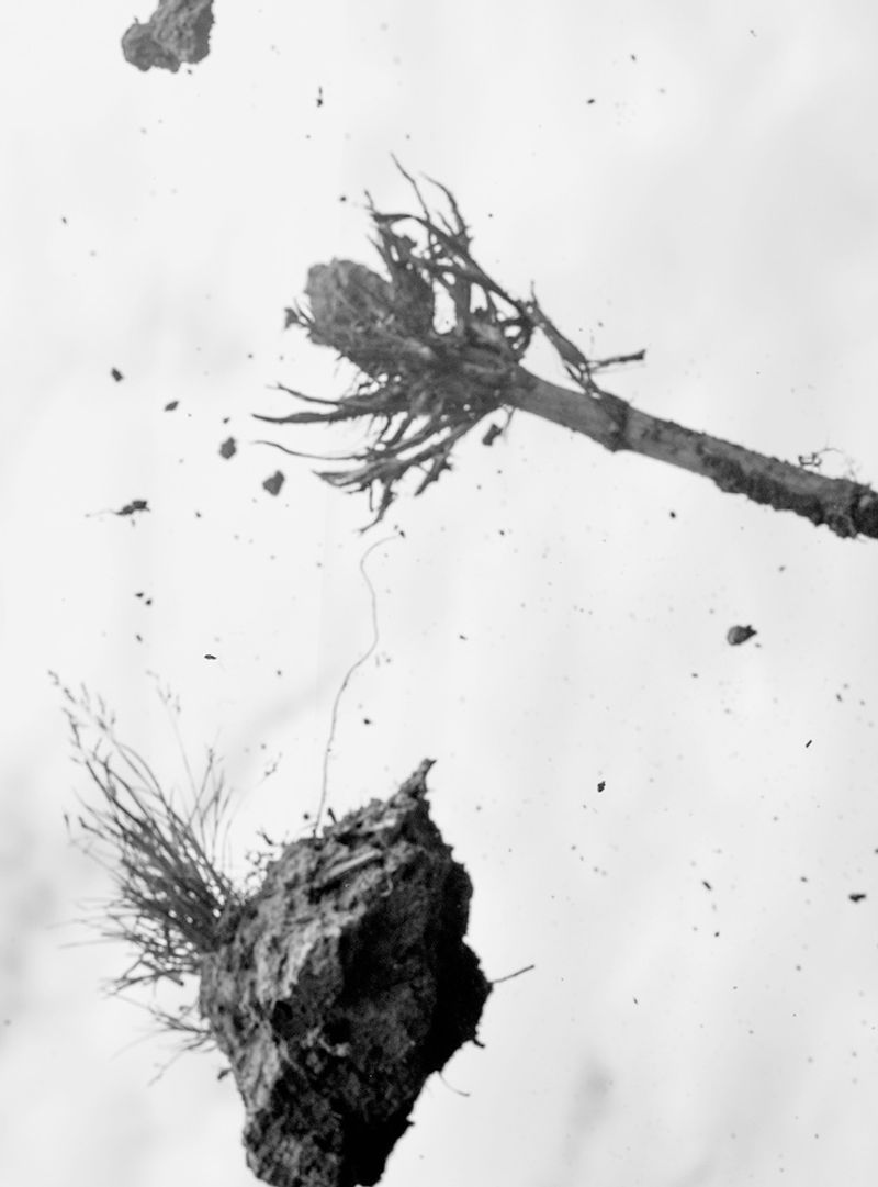 © Ault Studio - field study 3