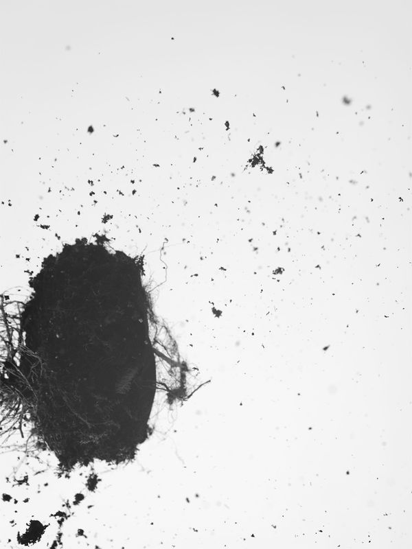 © Ault Studio - field study 1