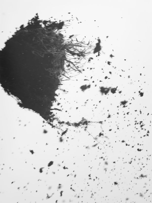 © Ault Studio - field study 2