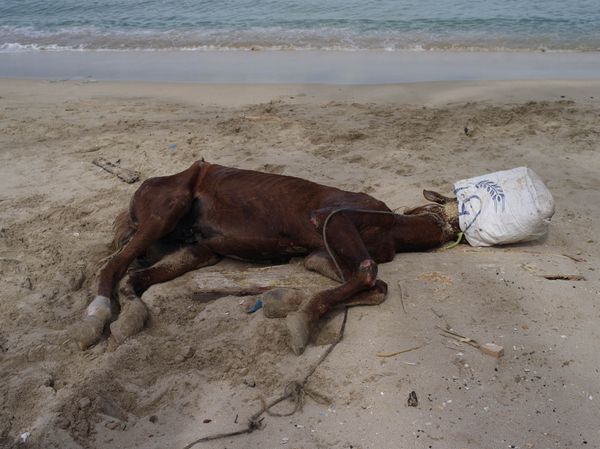 © Mohamed Hassan - Image from the Our Hidden Room photography project