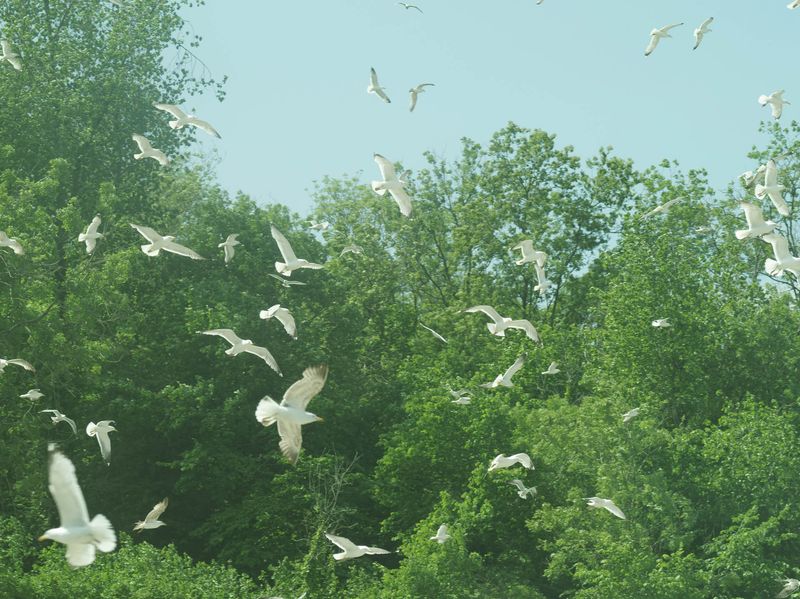 © Mohamed Hassan - Image from the Our Hidden Room photography project