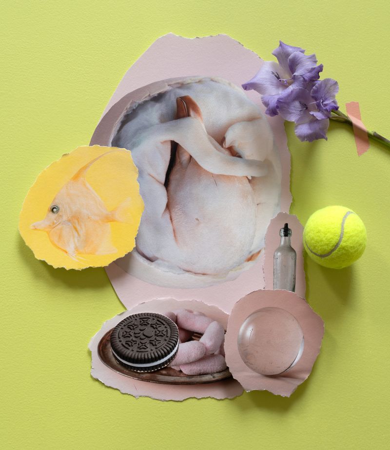 © Sylwia Kowalczyk - Image from the Metamorphoses photography project