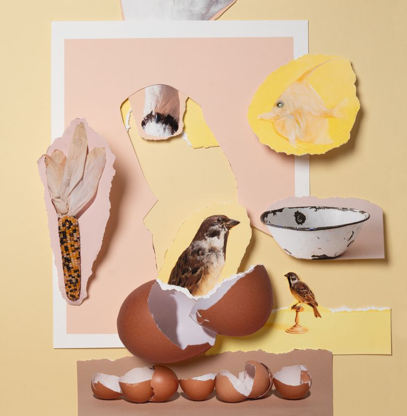 © Sylwia Kowalczyk - Image from the Metamorphoses photography project