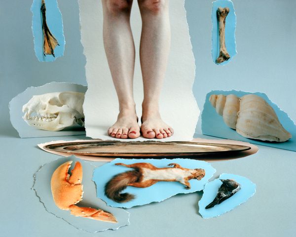 © Sylwia Kowalczyk - Image from the Metamorphoses photography project