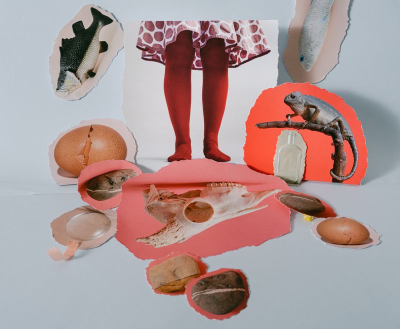 © Sylwia Kowalczyk - Image from the Metamorphoses photography project