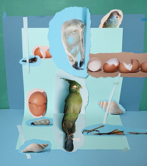 © Sylwia Kowalczyk - Image from the Metamorphoses photography project