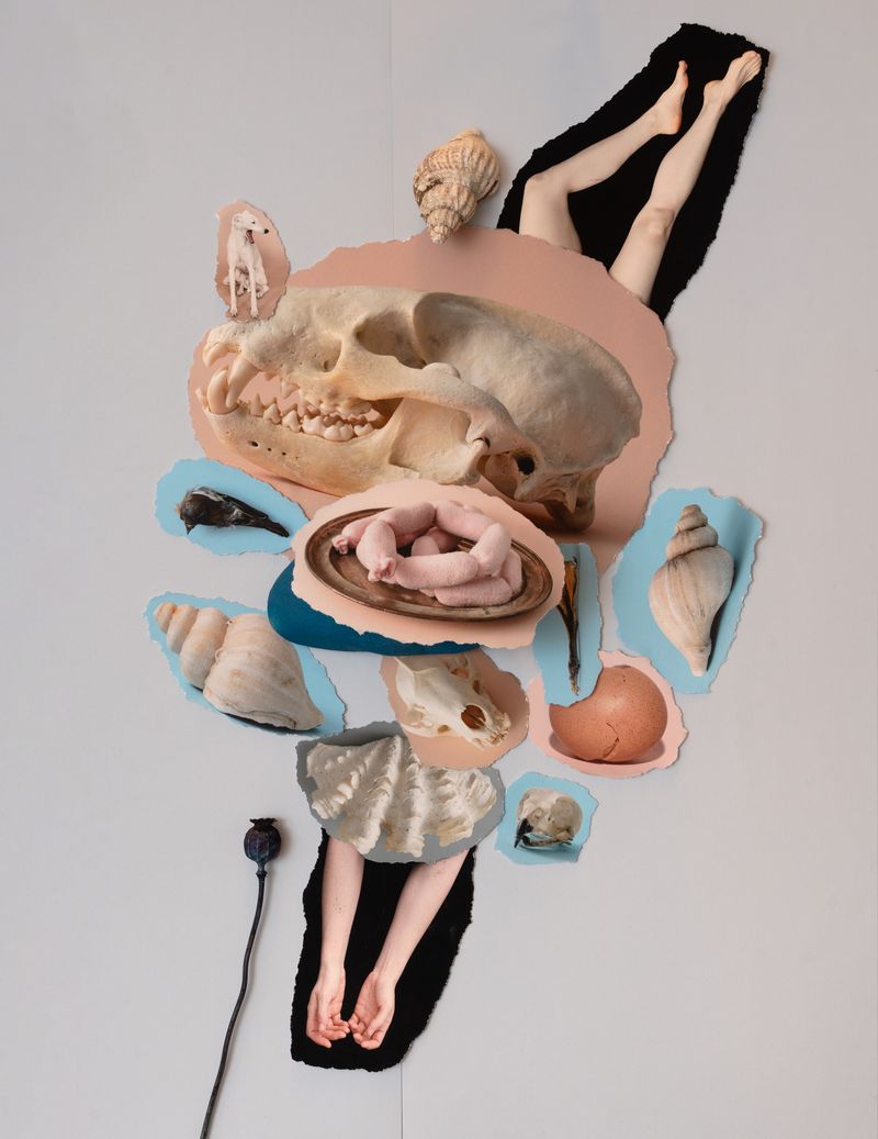 © Sylwia Kowalczyk - Image from the Metamorphoses photography project